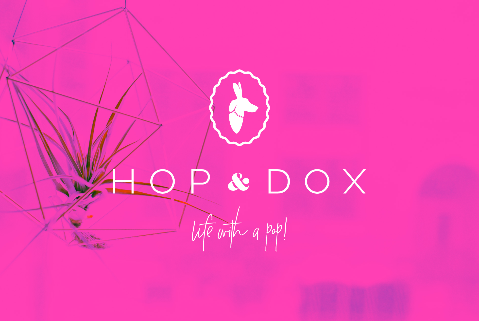 hop_dox-02